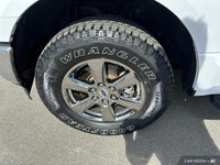 - ONE OWNER - ACCIDENT FREE - 2.7L ECOBOOST ENGINE - CLOTH SEATS - CHROME RUNNING BOARDS - PRE-COLLI... (image 9)