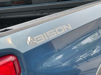 Technology package, AEV package with Bison edition, Multi-matic DSSV dampers, spray on bedliner, and... (image 9)