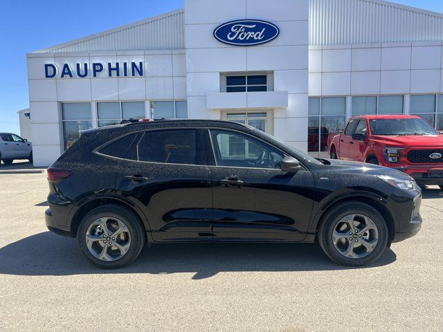  2024 Ford Escape ST-Line in Cars & Trucks in Winnipeg - Image 2