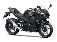 2024 Kawasaki Ninja 500 *IN STOCK*