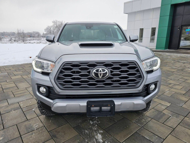 2020 Toyota Tacoma in Cars & Trucks in Ottawa - Image 3