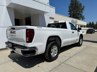 4WD Reg Cab 140" Pro Engine: 5.3L ECOTEC3 V8 (image 3)