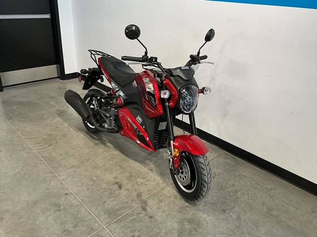 2023 Scootterre AR50 in Scooters & Pocket Bikes in Sherbrooke - Image 3