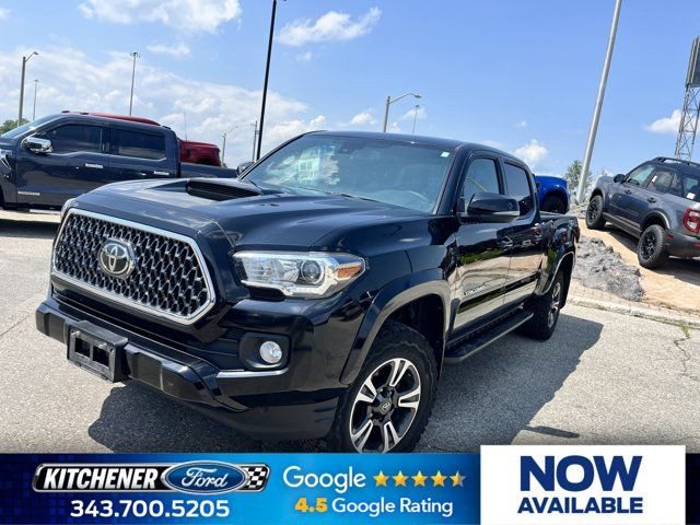 2019 Toyota Tacoma SR5 in Cars & Trucks in Kitchener / Waterloo