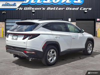 Check out this certified 2024 Hyundai Tucson Trend AWD | Leather | Panoramic Sunroof | Nav | Power S... (image 4)