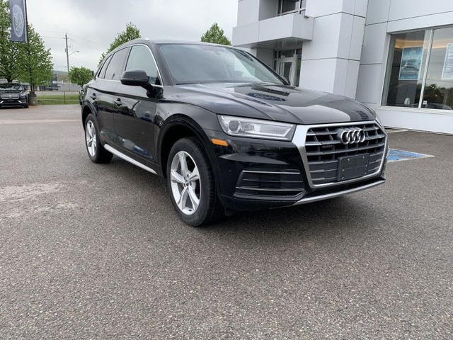 2018 Audi Q5 2.0 TFSI quattro Progressiv - Leather/NAV + Roof!! in Cars & Trucks in Kawartha Lakes - Image 3