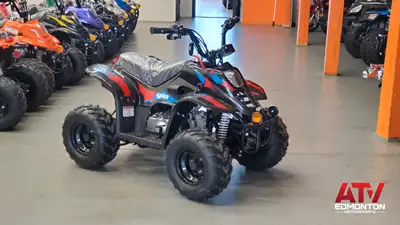 GIO gas ATV's clearance sale! Limited Time Offer | 110cc , 125cc, 150cc, 200cc Our Locations North-s...
