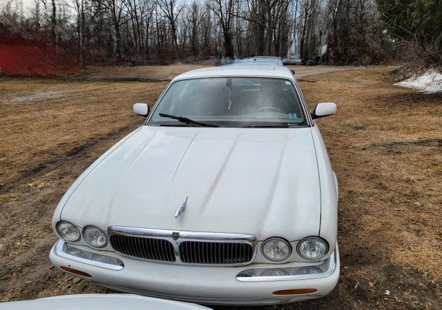 1998 Jaguar XJ8 in Cars & Trucks in Winnipeg - Image 4