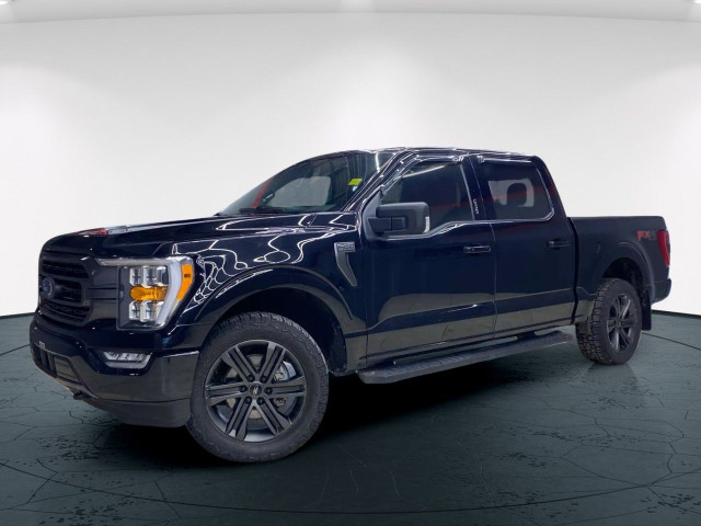 2021 Ford F-150 in Cars & Trucks in Edmonton