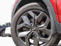 Vinyl Door Trim Insert, Variable Intermittent Wipers w/Heated Wiper Park, Trunk/Hatch Auto-Latch, Tr... (image 5)