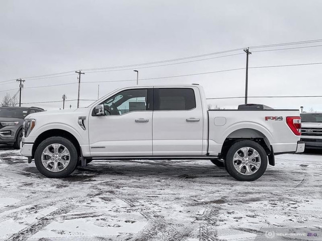 2023 Ford F-150 Platinum in Cars & Trucks in Edmonton - Image 3