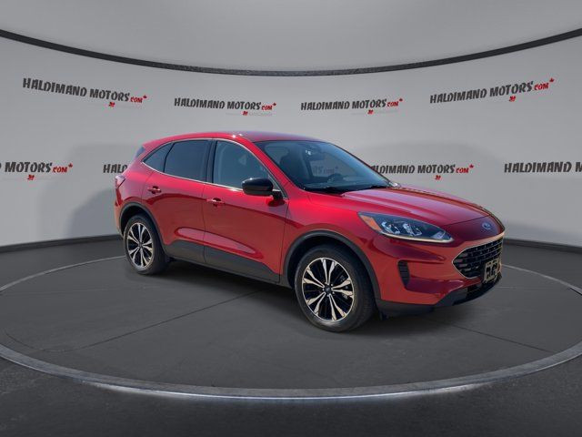 2022 Ford Escape SE Hybrid in Cars & Trucks in Hamilton - Image 2