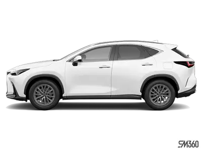 GARNISSAGE DES SIÈGES EN ROUGE|GROUPE ULTRA-PREMIUM - PEINTUR|0085 BLANC EMINENT NACRE Engine: Moteu...
