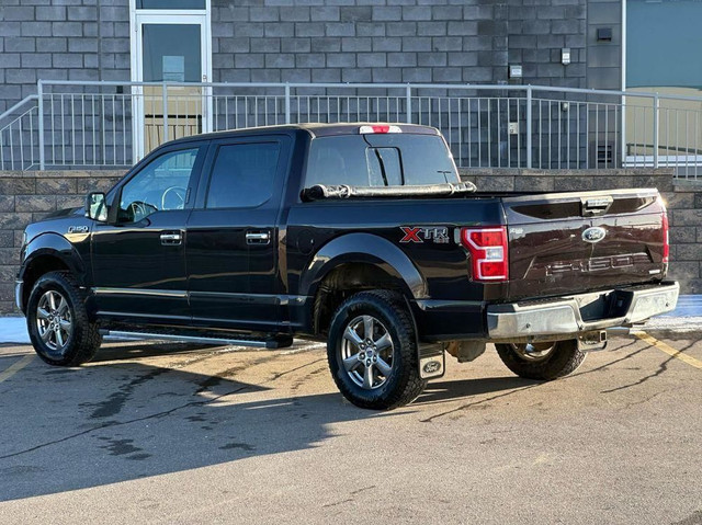 2020 Ford F-150 XL 4WD SuperCrew 5.5' Box |BIG SUMMER BLOWOUT! in Cars & Trucks in Calgary - Image 3