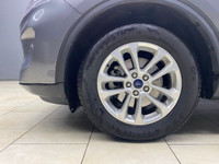 1.5L EcoBoost Body-color rear spoiler Cloth front bucket seats 6-way manual driver seat 4-way manual... (image 5)