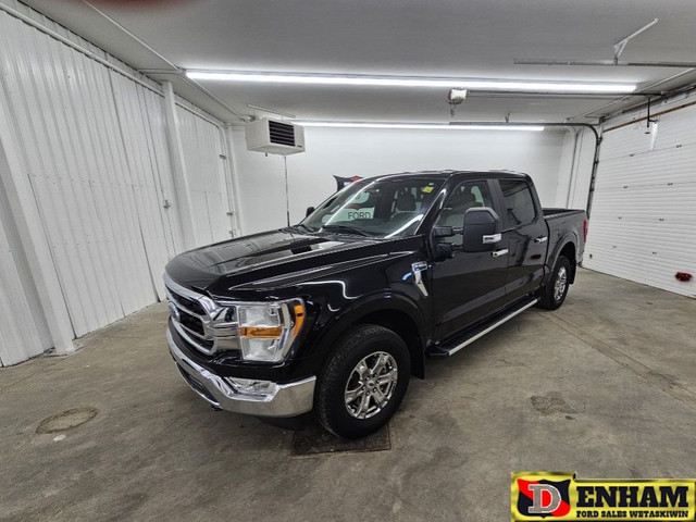 XLT, 4X4, BENCH SEAT, BLUETOOTH, CAMERA in Cars & Trucks in Edmonton - Image 2