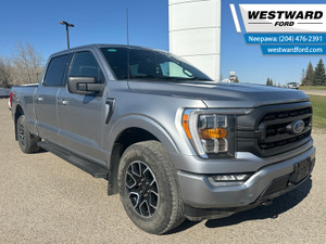 2023 Ford F 150 XLT