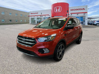 2019 Ford Escape SEL AWD – One Owner | Local Lethbridge SUV | Clean Carfax & Full Service History!Th... (image 7)