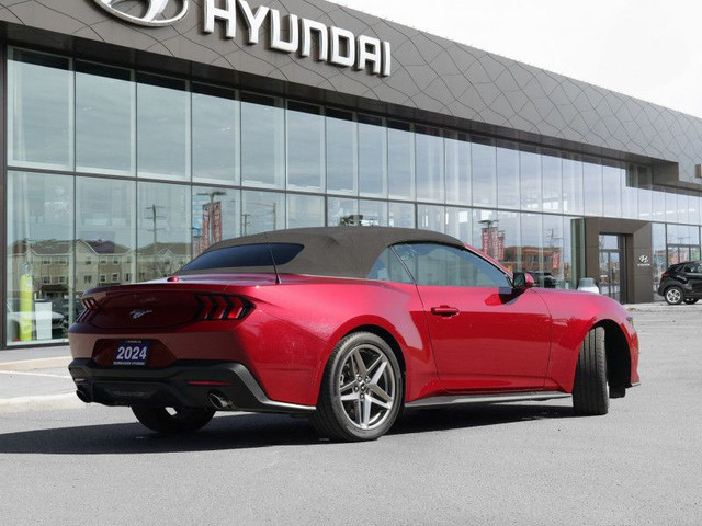 2024 Ford Mustang Preferred - Low Mileage in Cars & Trucks in Ottawa - Image 3