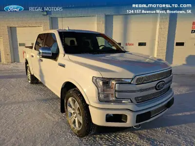 2020 Ford F-150 Platinum - Leather Seats - Cooled Seats