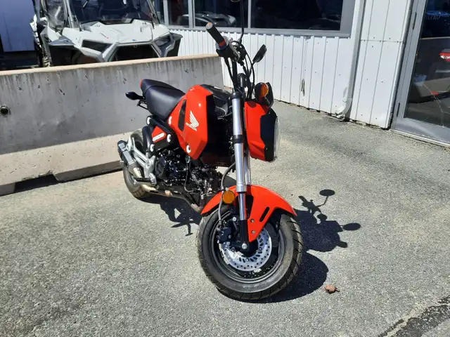 2023 HONDA M/C GROM MSX125P GROM AS LOW AS $59BW in Street, Cruisers & Choppers in Bridgewater - Image 4