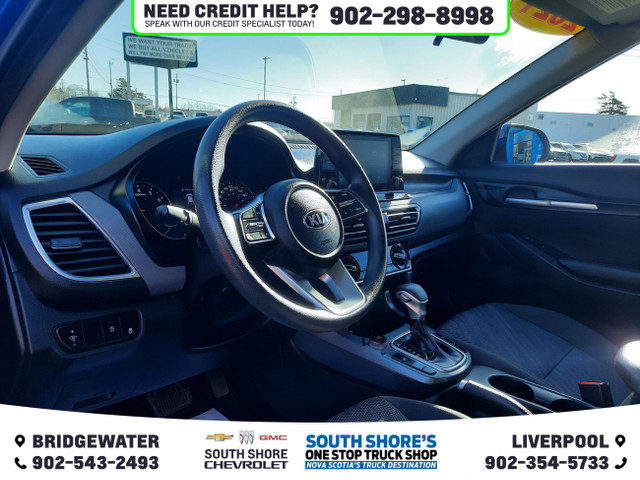 2021 Kia Seltos LX in Cars & Trucks in Bridgewater - Image 2