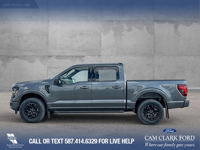 2025 Ford F-150 XLT in Cars & Trucks in Calgary - Image 4