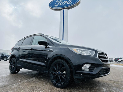 2019 Ford Escape SE 4X4