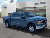 This 2023 Ford F-150 XL Crew Cab is a powerful and practical truck ready for work or weekend adventu... (image 6)