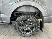 ENGINE: 5.0L V8, Automatic Highbeams, 3.31 Axle Ratio, 4-Wheel Disc Brakes, Backup Camera Fancy a bi... (image 8)