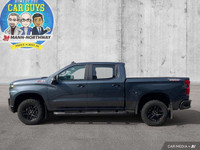 Unleash the power and capability of this 2020 Chevrolet Silverado 1500 LT Trail Boss Crew Cab. This... (image 1)