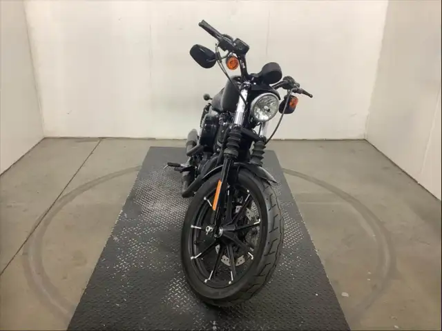 2018 Harley-Davidson Sportster XL883N Iron in Street, Cruisers & Choppers in City of Toronto - Image 12