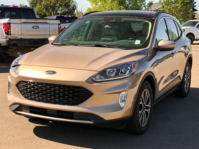 2020 Ford Escape SEL in Cars & Trucks in Lethbridge - Image 3