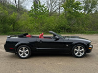 Experience the perfect blend of performance and bold design with this 2009 Ford Mustang GT Convertib... (image 6)