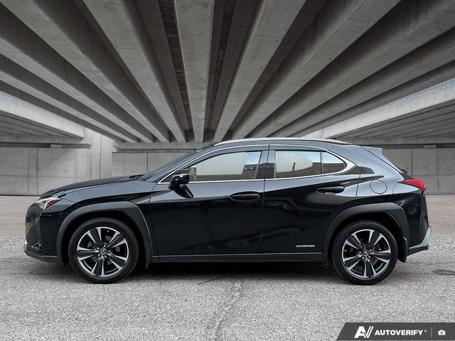 2020 Lexus UX UX 250H in Cars & Trucks in Edmonton - Image 3