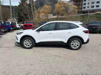 Heated Steering Wheel, Remote Start System, Heated Front Row Seats, Front & Rear Floor Liners, FordP... (image 6)