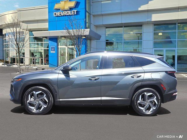 2024 Hyundai Tucson Plug-In Hybrid Ultimate in Cars & Trucks in Oshawa / Durham Region - Image 3
