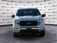 Thanks for viewing our House Of Cars Argyll inventory! AMVIC licensed dealer! The 2022 Ford F-150 XL... (image 9)