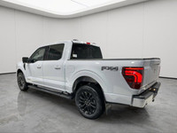 TWIN PANEL MOONROOF, FX4 OFF-ROAD PKG, LARIAT BLACK APPEARANCE PKG, PRO POWER ONBOARD - 7.2KW, B&O U... (image 7)
