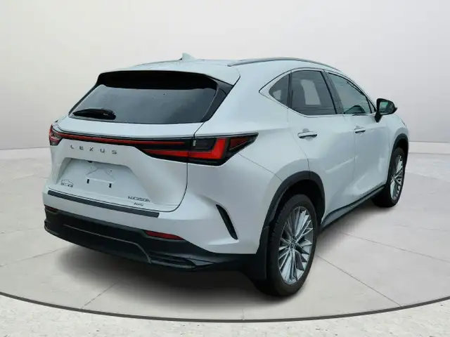 2024 Lexus NX 350h Accident Free Hybrid Luxury Package Financing in Cars & Trucks in Ottawa - Image 6