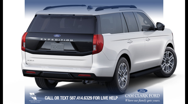 2025 Ford Expedition Active in Cars & Trucks in Calgary - Image 4
