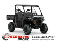  2024 Can-Am Defender DPS HD10