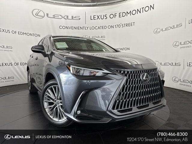 2025 Lexus NX 350 LUXURY PACKAGE in Cars & Trucks in Edmonton