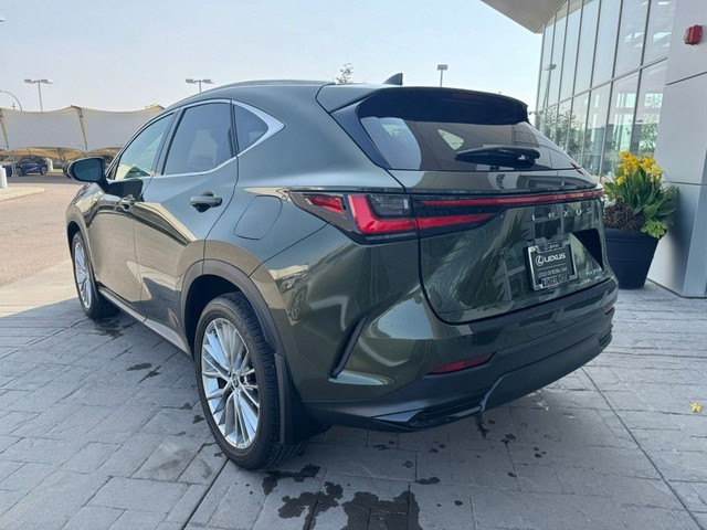2024 Lexus NX in Cars & Trucks in Calgary - Image 2