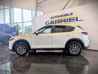 Comes equipped with: Power Mirrors, Shark fin antenna, Halogen Headlamps, Courtesy lights, Fog Light... (image 8)