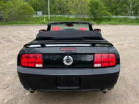 Experience the perfect blend of performance and bold design with this 2009 Ford Mustang GT Convertib... (image 4)