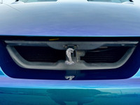 CALLING ALL FORD COLLECTORS!! 2004 Ford Mustang Cobra SVT!! **#382 OF ONLY 1,010 MYSTICRHOME UNITS P... (image 9)