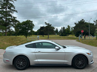 WAS: $22795 NOW: $20888 plus taxes and licensing feesFeel the Thrill! 2017 Ford Mustang V6 - Manual... (image 5)