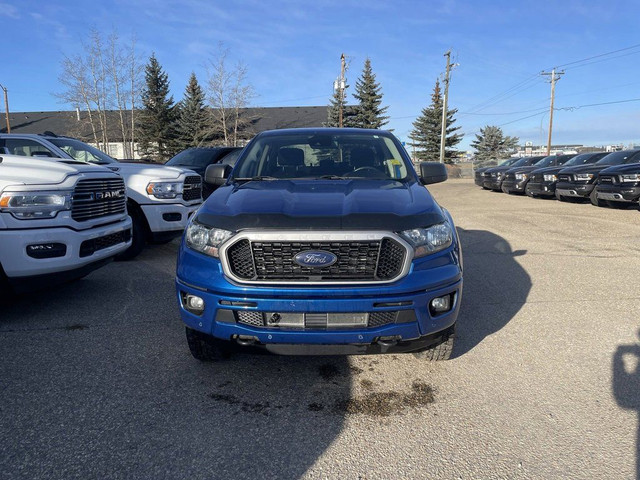 2019 Ford Ranger XLT dans Autos et camions  à Ville d’Edmonton - Image 2