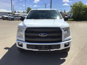 2017 Ford F 150 Other